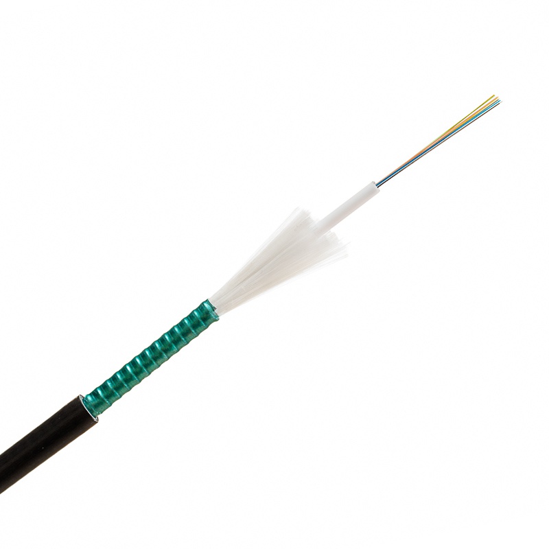CLTD12OM4-PANC-Dca,12ОВ армиран central loose tube